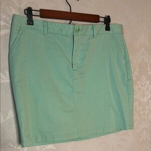 Gap Mint Green Skirt